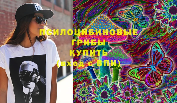 ALPHA PVP Остров