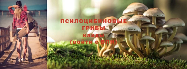 ALPHA PVP Остров
